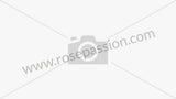 Hose Clamp - Mubea SC2426812