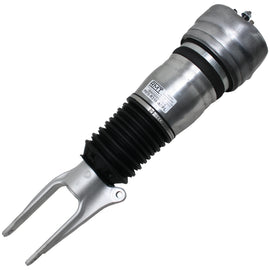 Porsche Electronic eRide Air Strut - Arnott Industries ASE4028